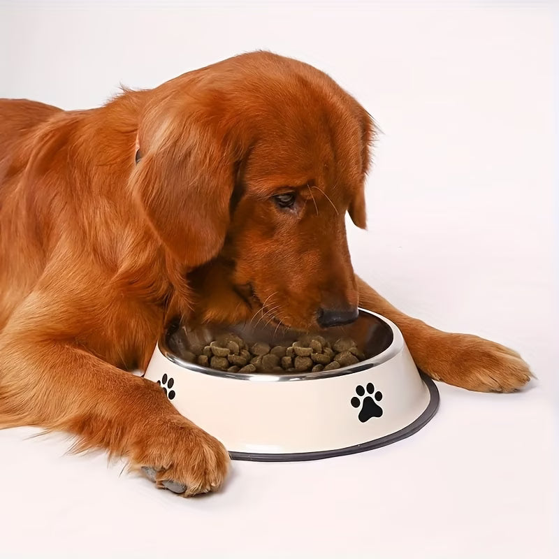 Dog Bowl