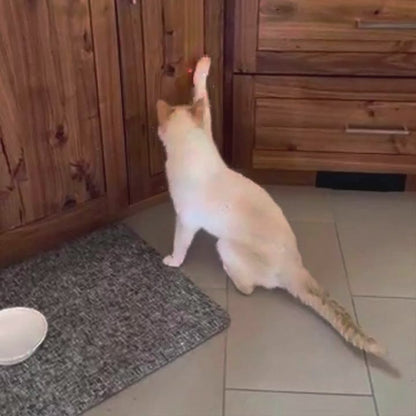 Automatic Cat Toy – Interactive Smart LED Laser